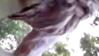 साउथ इंडियन गर्लफ्रेंड की जंगल झाड़ियों में चूत चुदाई