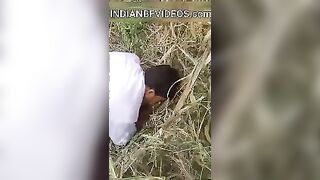 एक भाभी दो बदमाश - खेत में चोदने का वीडियो