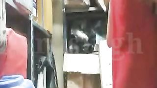 बिग गधा परिपक्व बीबीडब्ल्यू भाभी कठिन कुत्ते शैली स्टोर रूम में बकवास